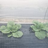 경영님의 작성글 사진