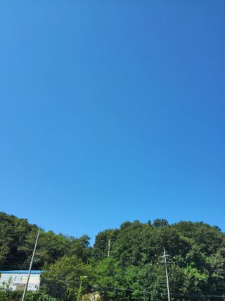 팜모닝회원 김순달 님의 기타작물 · 영농일지 작성글 사진