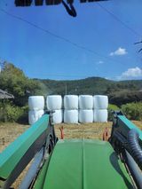 이행옥님의 작성글 사진