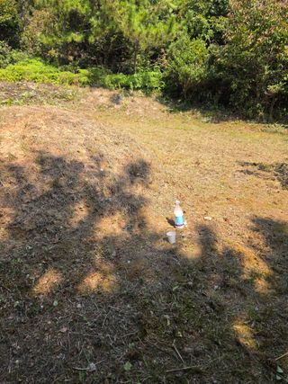 김성환님의 기타작물 · 영농일지 작성글 사진