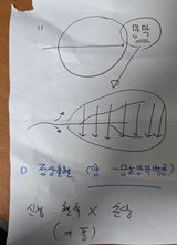 팜모닝 기타작물·영농일지 게시글 이미지