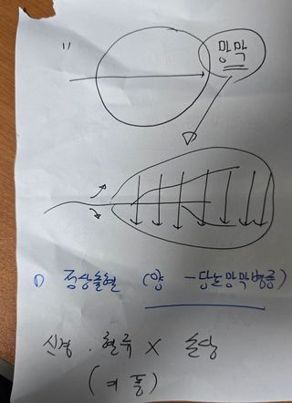 축복의땅 에덴동산님의 기타작물 · 영농일지 작성글 사진