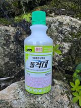 조정미님의 작성글 사진