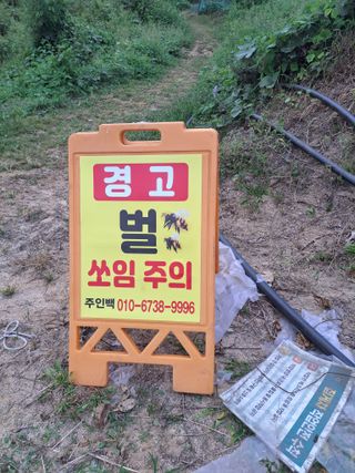 조연만님의 기타작물 · 영농일지 작성글 사진