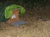 조연만님의 작성글 사진