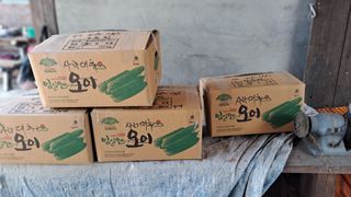월굴리이승재님의 기타작물 · 영농일지 작성글 사진