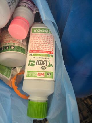 제주감성농장님의 딸기 · 영농일지 작성글 사진