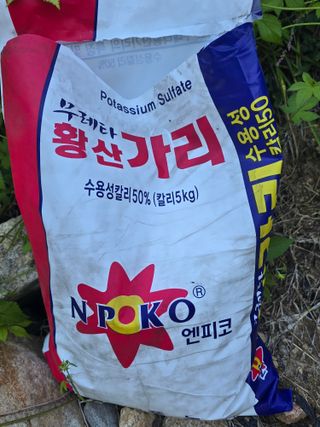 조정미님의 작성글 사진