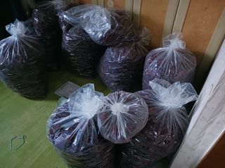 문용건님의 기타작물 · 영농일지 작성글 사진
