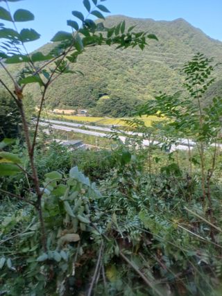 보공(김대호)님의 기타작물 · 영농일지 작성글 사진