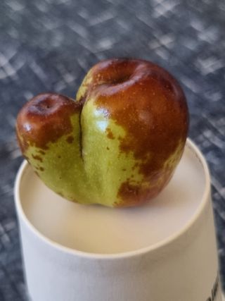 최기동님의 기타작물 · 영농일지 작성글 사진
