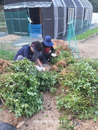 이수홍(이창희)님의 기타작물 · 영농일지 작성글 사진