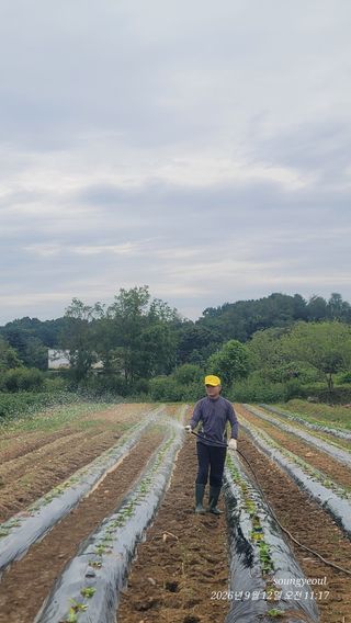 엄성열님의 콩 · 영농일지 작성글 사진