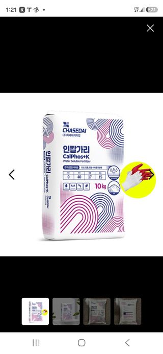박영희님의 블루베리 · 영농일지 작성글 사진