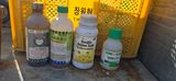 팜모닝 기타작물·영농일지 게시글 이미지