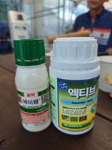 안용섭님의 작성글 사진