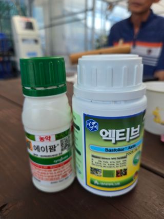 안용섭님의 딸기 · 영농일지 작성글 사진
