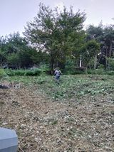 팜모닝 기타작물·영농일지 게시글 이미지