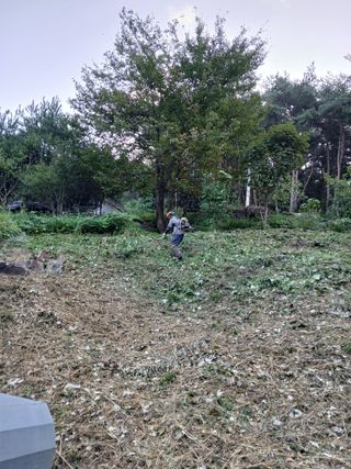 신옥윤님의 기타작물 · 영농일지 작성글 사진