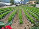 홈 갤러리 이미지