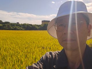 넥스젠님의 벼 · 영농일지 작성글 사진