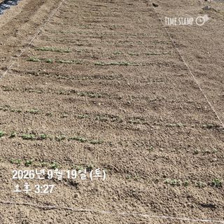 권영순님의 기타작물 · 영농일지 작성글 사진