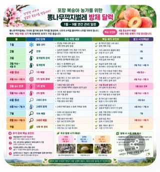 철남 김희곤님의 옥수수 · 영농일지 작성글 사진