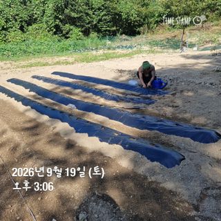 권영순님의 기타작물 · 영농일지 작성글 사진