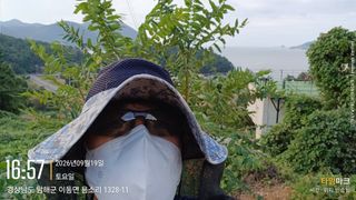 최강식님의 두릅 · 영농일지 작성글 사진