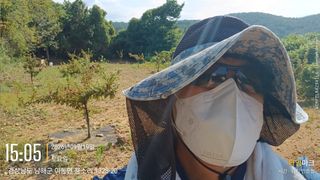 최강식님의 두릅 · 영농일지 작성글 사진