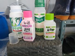 고영미님의 기타작물 · 영농일지 작성글 사진