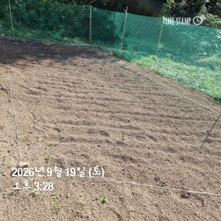 권영순님의 기타작물 · 영농일지 작성글 사진