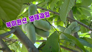 김정은님의 기타작물 · 영농일지 작성글 사진