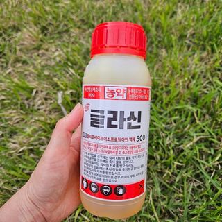 단감당감님의 감 · 영농일지 작성글 사진