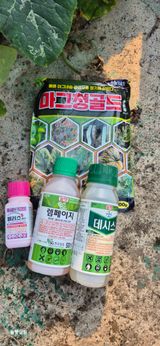 팜모닝 기타작물·영농일지 게시글 이미지