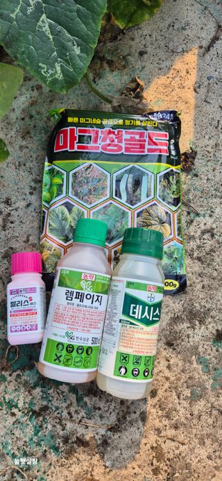 늘햇살팜 님의 기타작물 · 영농일지 작성글 사진