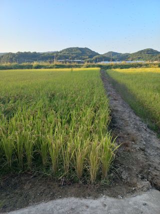 포도7969님의 기타작물 · 영농일지 작성글 사진