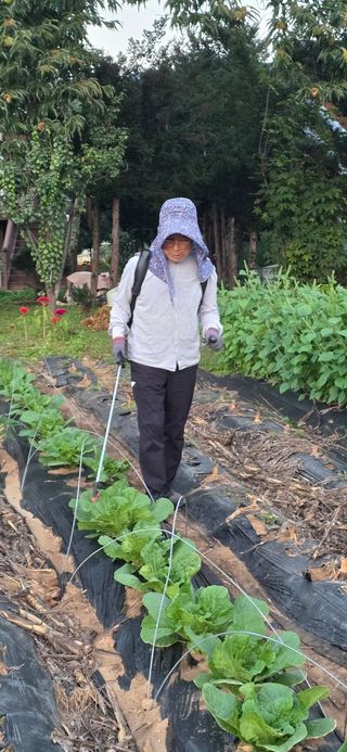이경식님의 배추 · 영농일지 작성글 사진