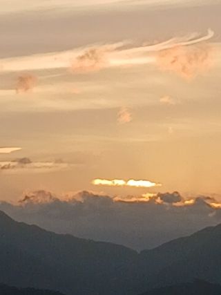 성광석님의 벼 · 영농일지 작성글 사진