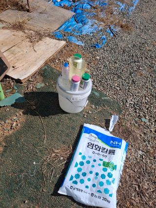 The농원님의 기타작물 · 영농일지 작성글 사진