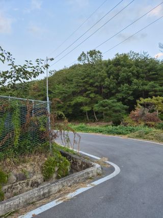 주말농 젠바님의 기타작물 · 영농일지 작성글 사진