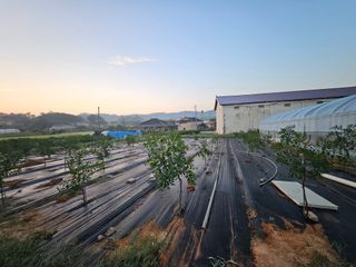 임똥강님의 콩 · 영농일지 작성글 사진