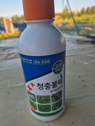 김한수님의 기타작물 · 영농일지 작성글 사진