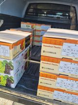 논산푸른팜님의 작성글 사진