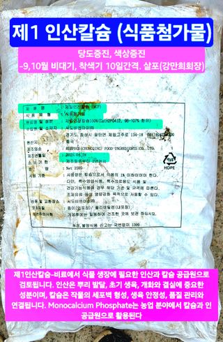 kia1588님의 귤 · 영농일지 작성글 사진