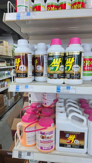 축복의땅 에덴동산님의 기타작물 · 영농일지 작성글 사진
