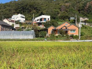별@노래농장(정씨)님의 벼 · 영농일지 작성글 사진