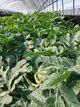 홈 갤러리 이미지