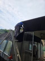 팜모닝 기타작물·영농일지 게시글 이미지