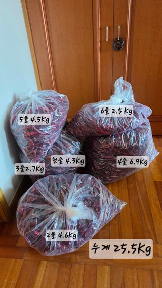 최석주님의 기타작물 · 영농일지 작성글 사진